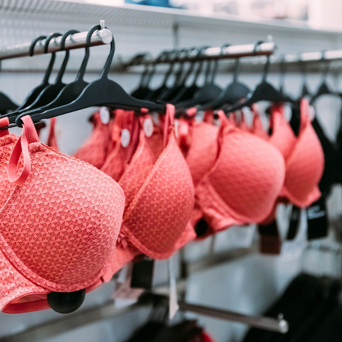 Discover Your True Size With Professional Bra Sizing